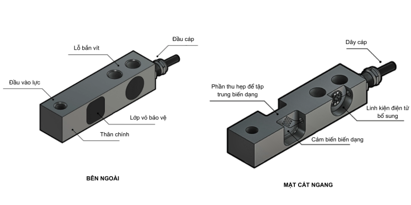 Cân sàn điện tử